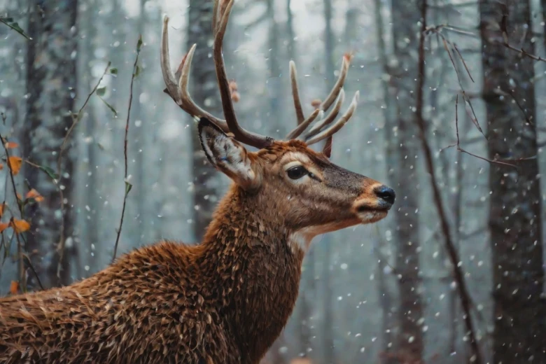 Conclusion 100+ Best and Short Nature Captions for Instagram 2024: Elevate Your Posts