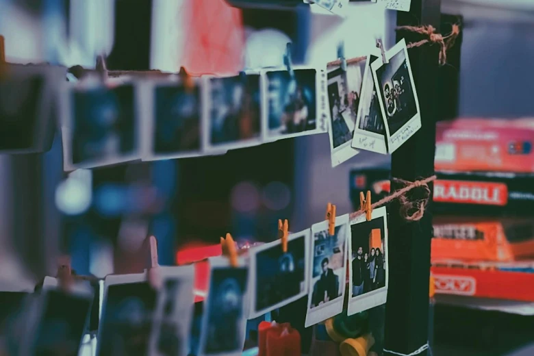 Conclusion German Shepherd Australian Shepherd Mix: Pictures, Info, Care & More - Ultimate Guide