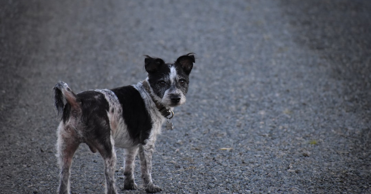 Minecraft Ender Eye recipe on a crafting table illustration.