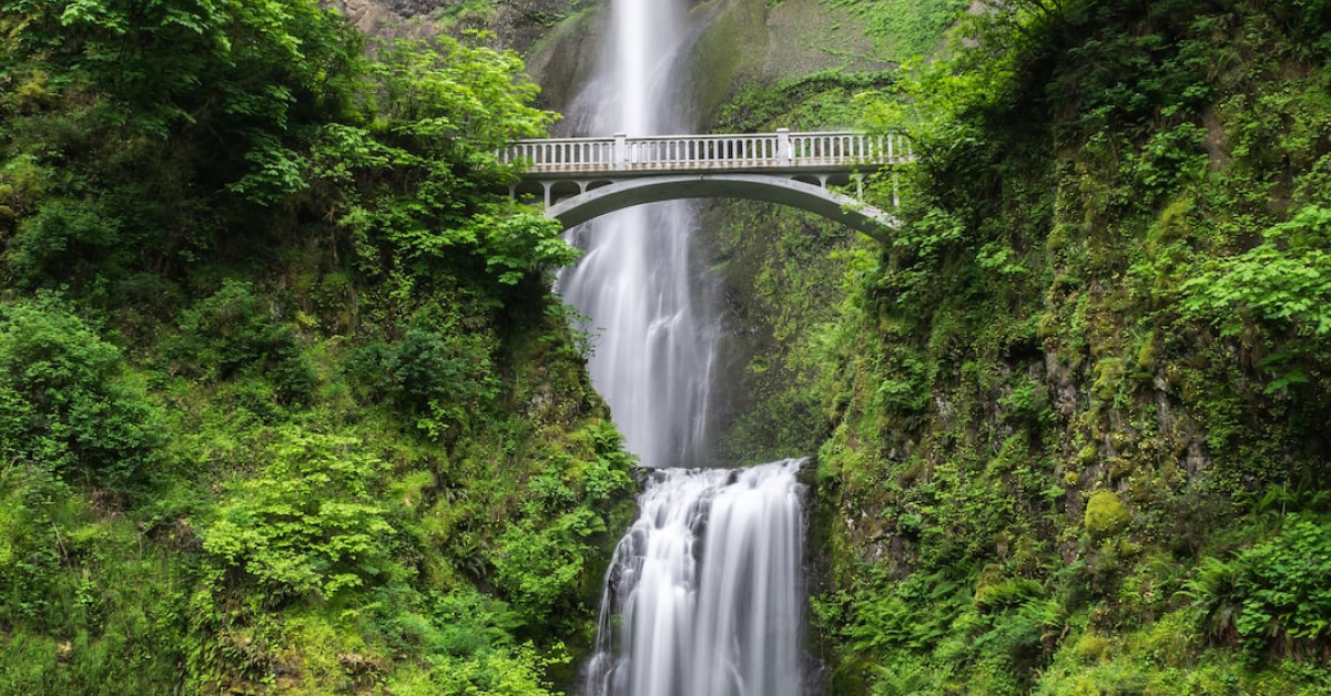 Top 12 Off-Road Vehicles 2024 Guide