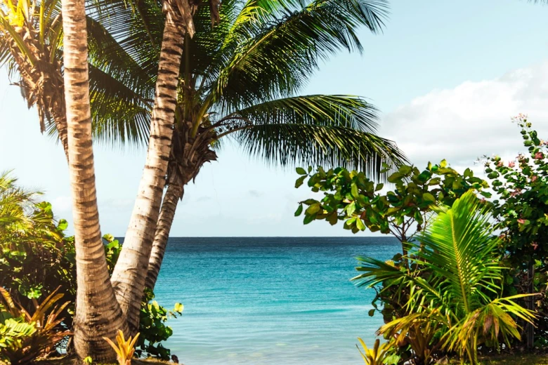 Create Your Perfect Beach Sunrise Caption 100+ Beach Sunrise Captions for Instagram: Perfect Sun-Kissed Moments