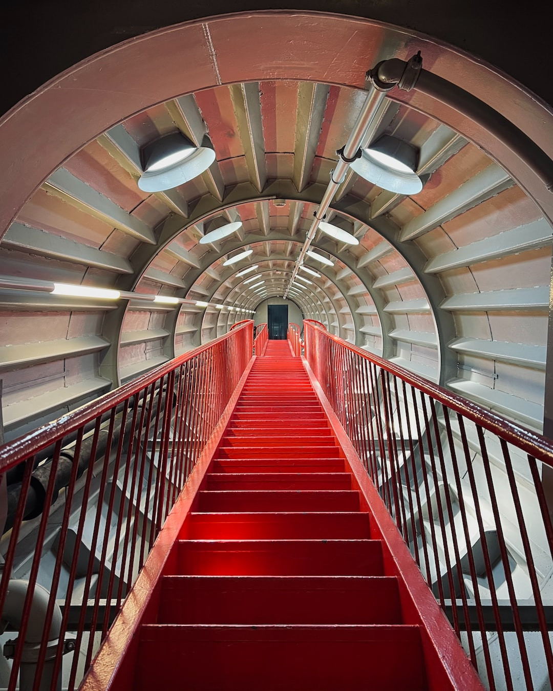 Brussels sprouts thriving in companion planting vegetable garden.