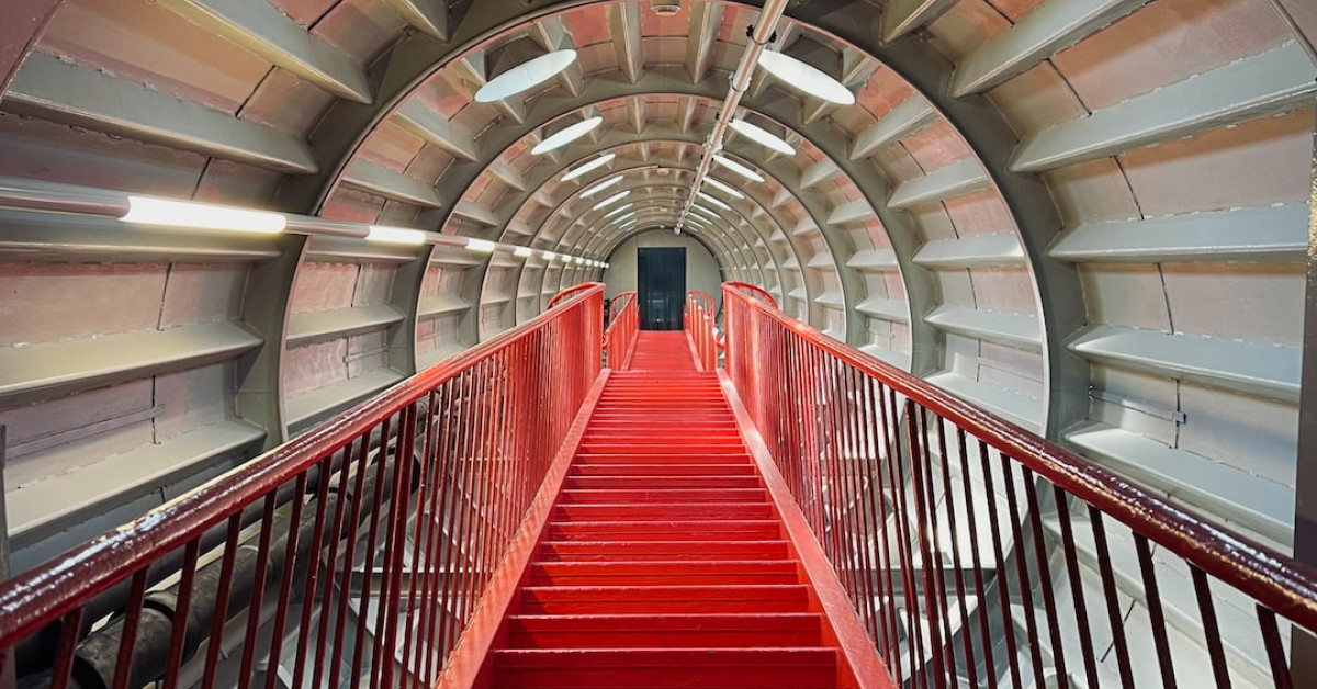 Brussels sprouts thriving in companion planting vegetable garden.