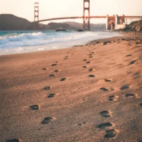 Cycle graph explaining rational functions visualization guide. Cycle graph explaining rational functions visualization guide.