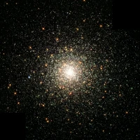 Assorted homemade desserts artfully presented for events Assorted homemade desserts artfully presented for events