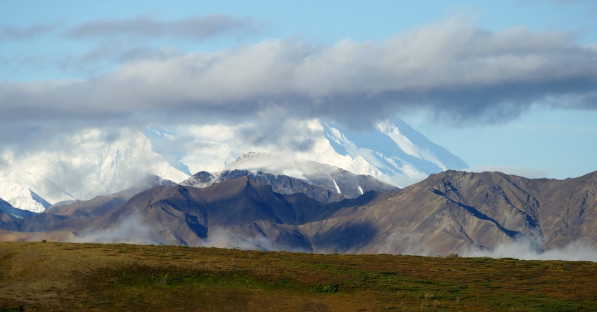 DeLonghi vs Breville espresso machines comparison