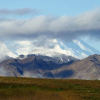 DeLonghi vs Breville espresso machines comparison DeLonghi vs Breville espresso machines comparison