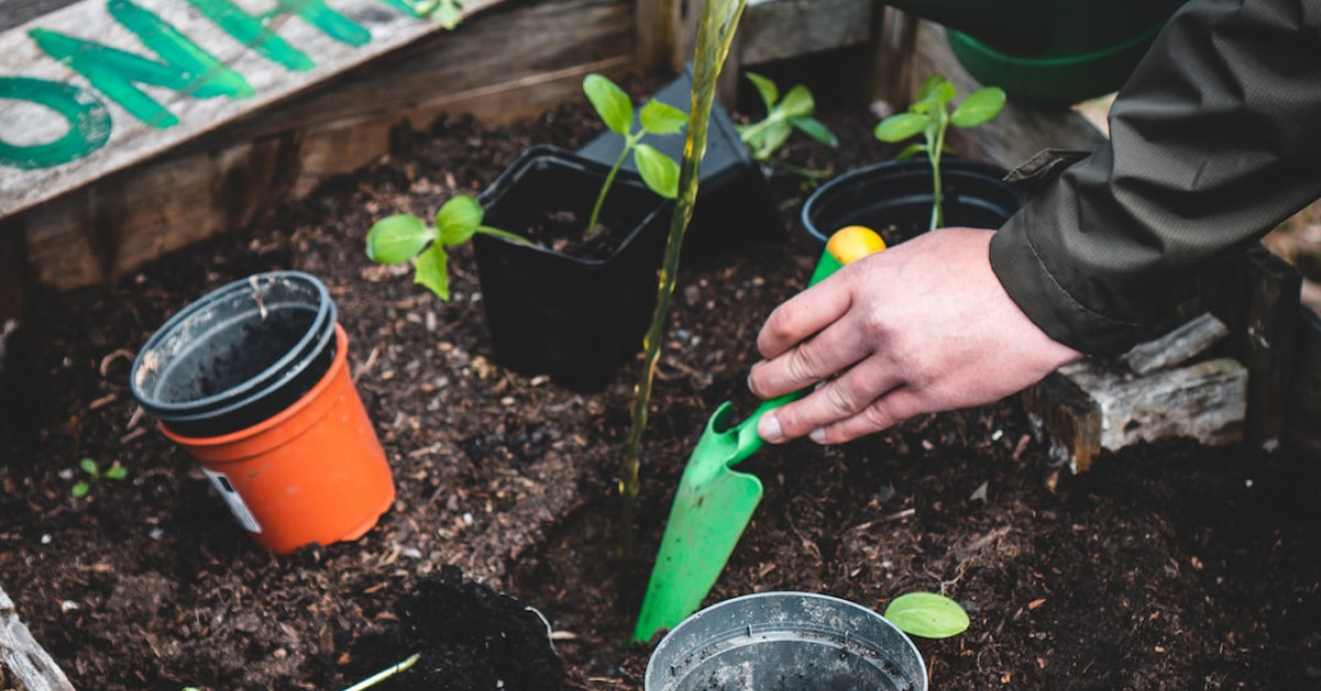 Demystifying Sustainable Agriculture: 33 Key Principles for Going Organic.