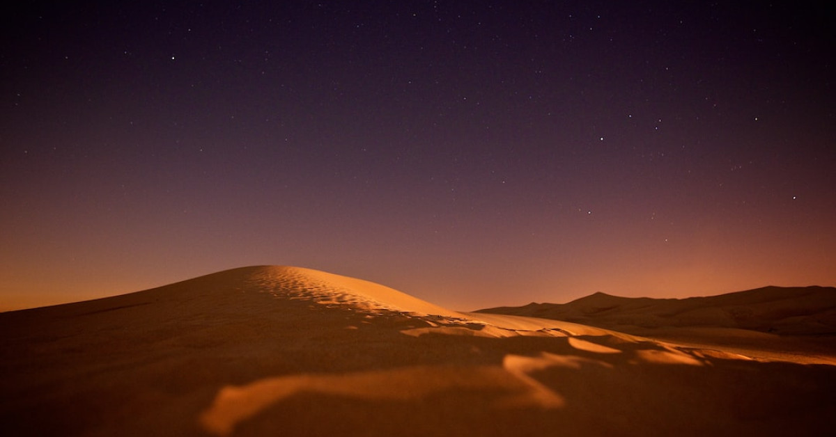 Desert rose bridesmaid dresses for elegant wedding ambiance.