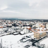 Over 55 diverse dietary recipes book cover Over 55 diverse dietary recipes book cover