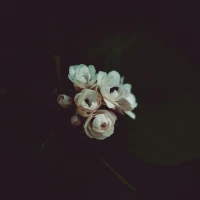 Guide to select best seats at Moody Center event. Guide to select best seats at Moody Center event.