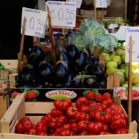 Sicilian eggplant recipes for a delicious dinner makeover. Sicilian eggplant recipes for a delicious dinner makeover.