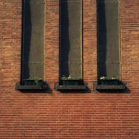 Expert brisket resting phase techniques for perfect tenderness. Expert brisket resting phase techniques for perfect tenderness.