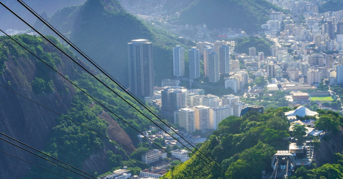 Colorful birds from Rio movie animation.