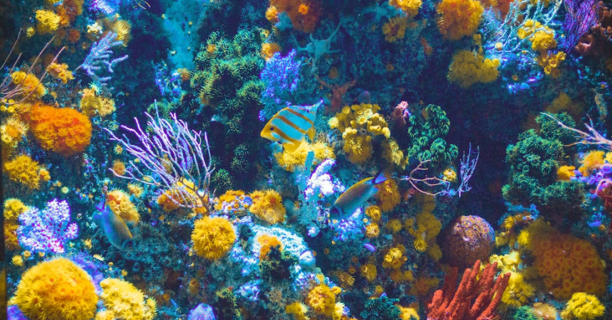 Diver practicing equalization techniques underwater.