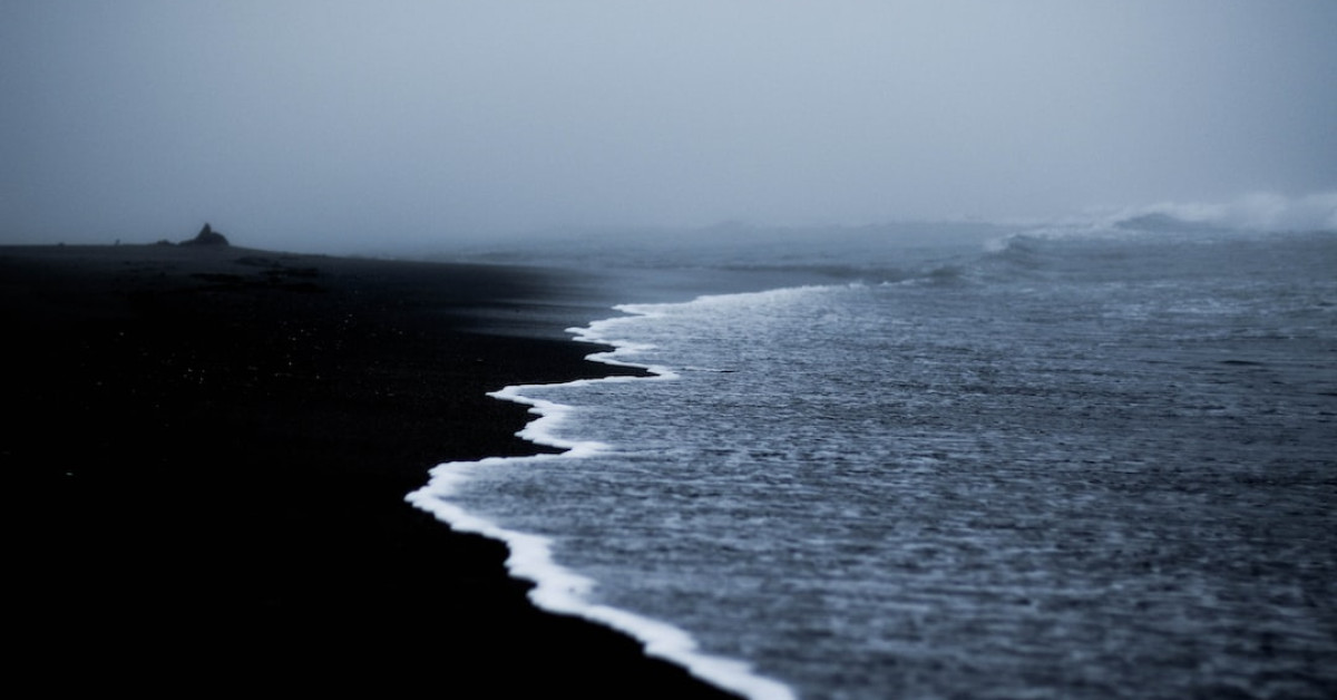 Colorful black and blue birds perched worldwide