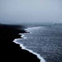Colorful black and blue birds perched worldwide Colorful black and blue birds perched worldwide