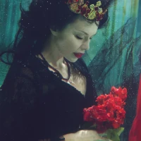 Cinnamon Queen chickens posing in natural farm setting. Cinnamon Queen chickens posing in natural farm setting.