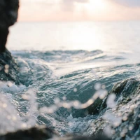 Diving Techniques Unveiled: Discover the Thrills of Deep Sea Exploration Diving Techniques Unveiled: Discover the Thrills of Deep Sea Exploration