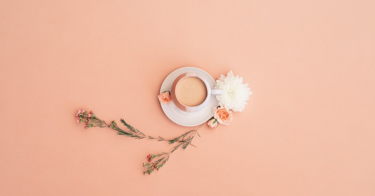 Top 10 Minnesota coffee shops for quality brews infographic.