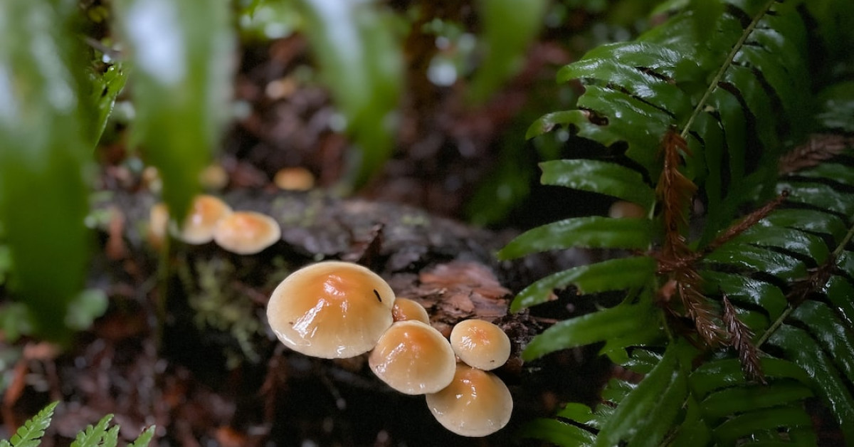 Hikers exploring American National Parks trail scenery.