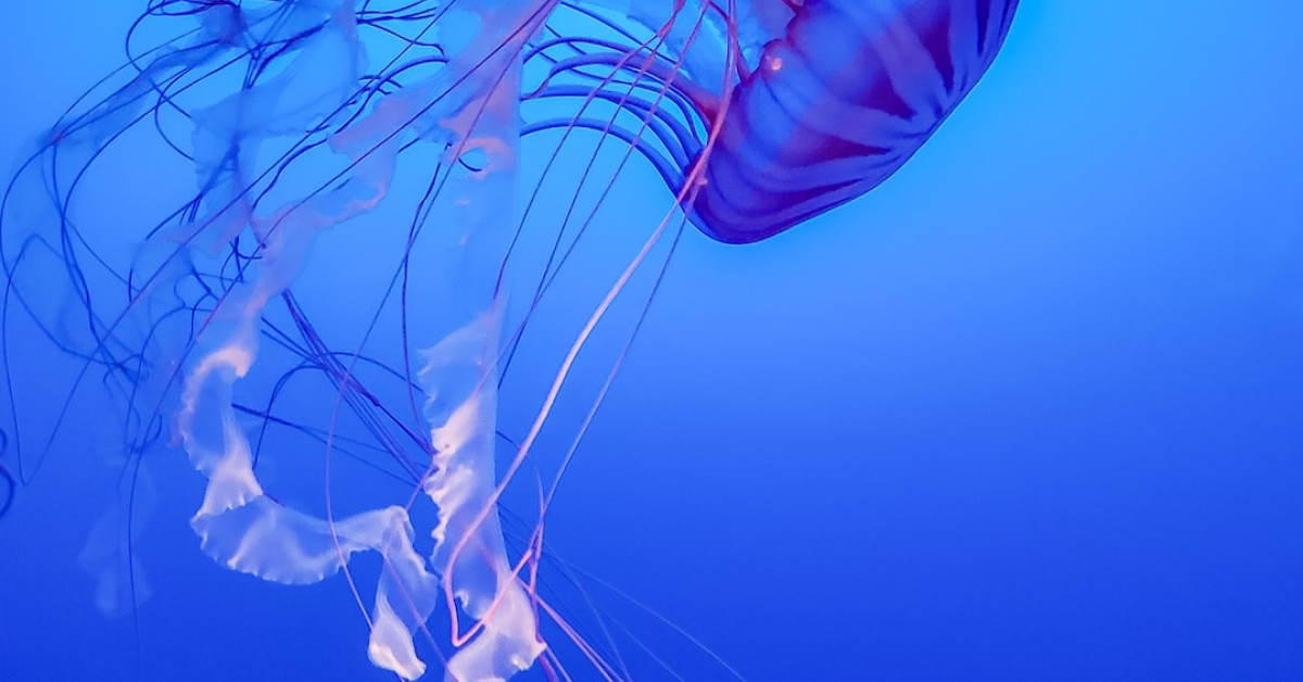 Person enjoying Boba tea at a cozy café.