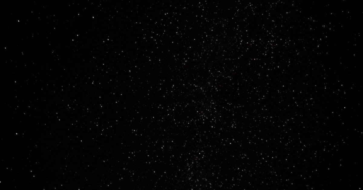 Black-chinned Hummingbird perched among green leaves.