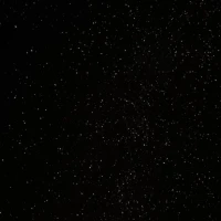 Black-chinned Hummingbird perched among green leaves. Black-chinned Hummingbird perched among green leaves.