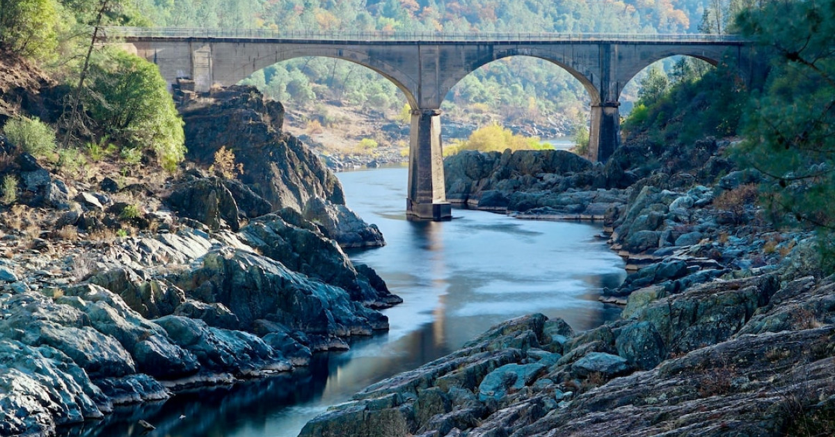 Auburn elite swimmers training underwater for excellence.