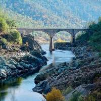 Auburn elite swimmers training underwater for excellence. Auburn elite swimmers training underwater for excellence.