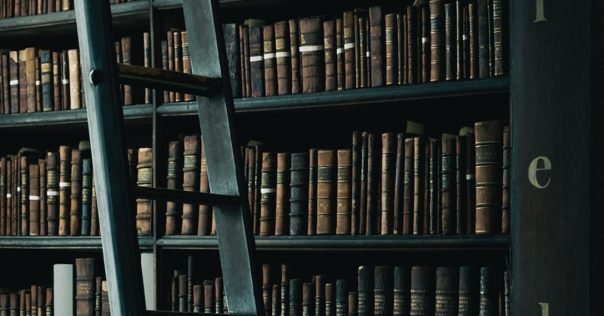 Teens diving during Aqua Academia's educational underwater tour.