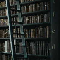 Teens diving during Aqua Academia's educational underwater tour. Teens diving during Aqua Academia's educational underwater tour.