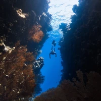 Top 10 hilarious diving memes compilation image. Top 10 hilarious diving memes compilation image.