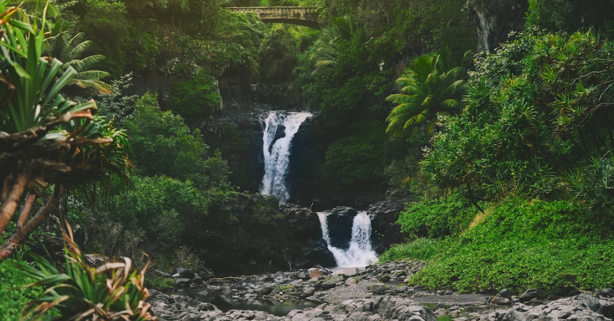 Hawaiian tropical corn chowder soup in a bowl.