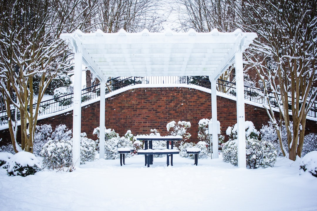 Diving into Legalities of Virginia Dumpster Diving Guide