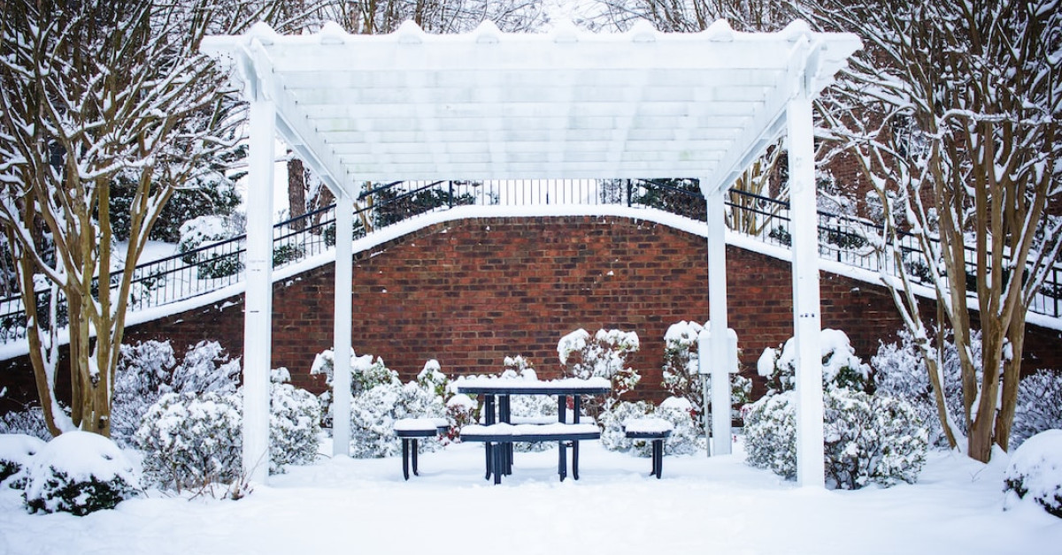 Diving into Legalities of Virginia Dumpster Diving Guide