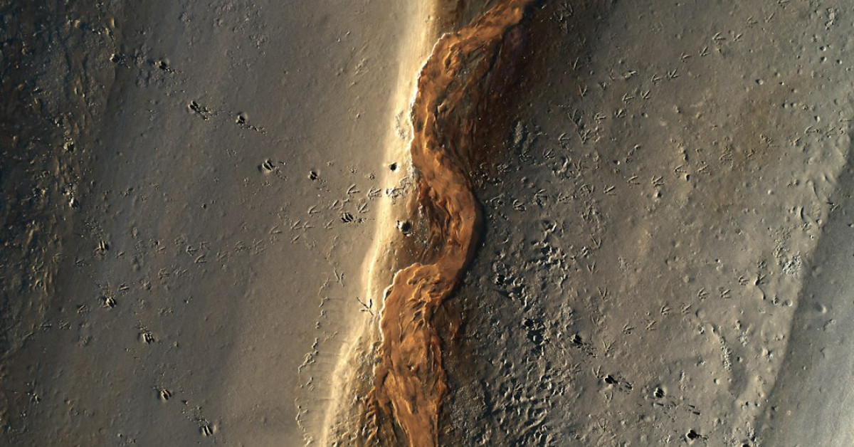 Legal aspects of dumpster diving in Louisiana illustration