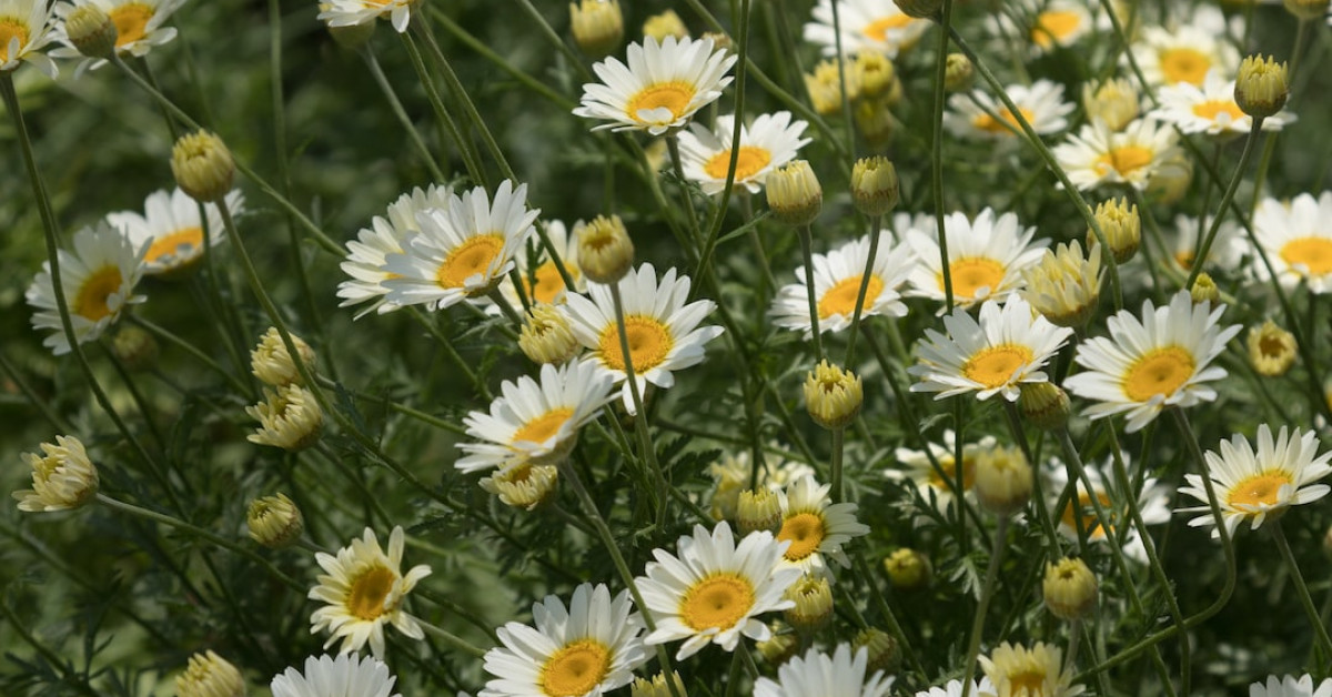 Diver explores underwater treasure amid sunken artifacts.