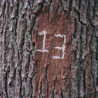 Freediving Challenges: Unlocking New Depths and Overcoming Limitations Freediving Challenges: Unlocking New Depths and Overcoming Limitations