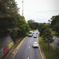 Exploring Dumpster Diving Legality in Georgia Infographic. Exploring Dumpster Diving Legality in Georgia Infographic.