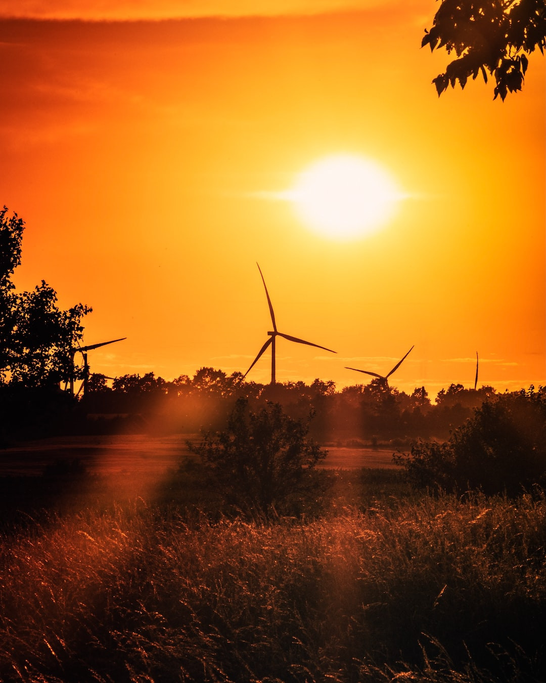 Man dumpster diving in Indiana examining legality of scavenging.