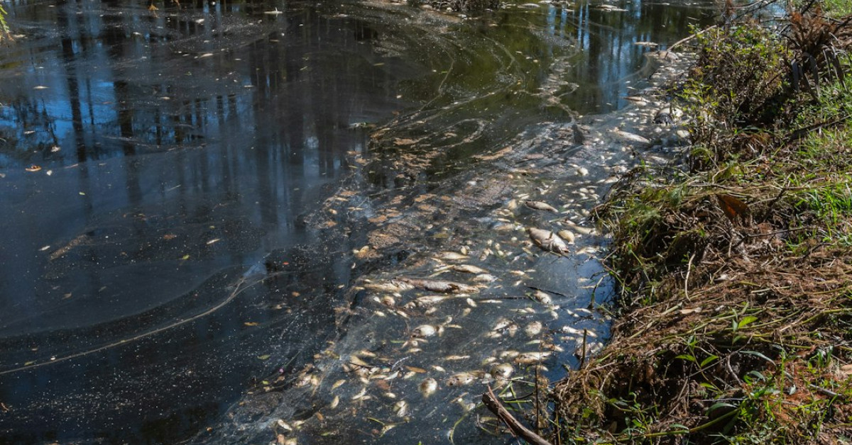 North Carolina dumpster diving legal guidelines infographic.