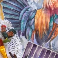 Easter Egger rooster with vibrant, multicolored feathers. Easter Egger rooster with vibrant, multicolored feathers.