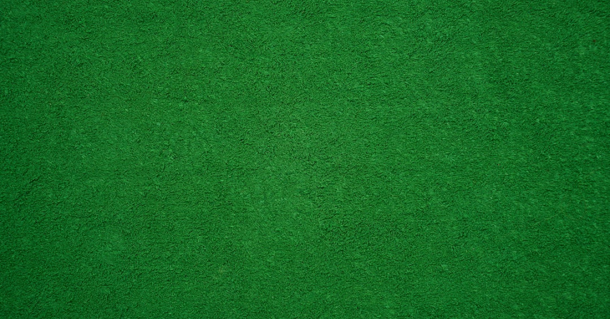 Benefits of a Plant-Based Organic Diet Explained in Image