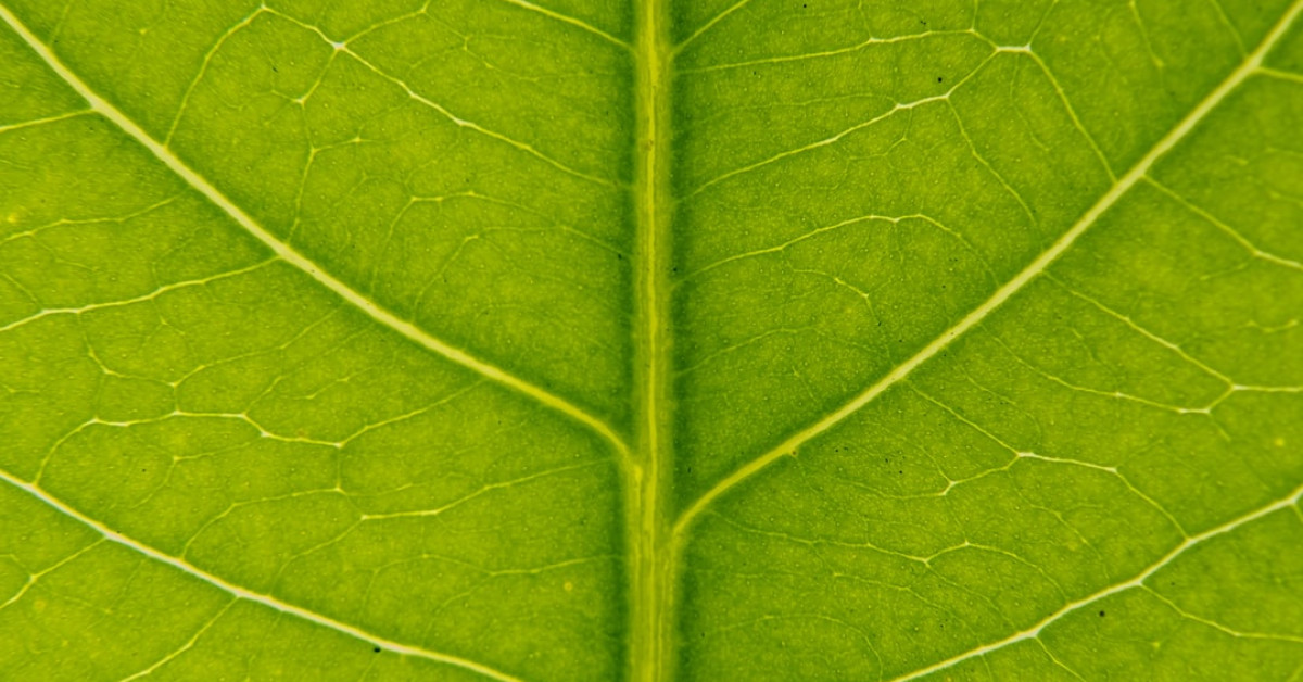 Eco-friendly car washing guide for sustainable auto care