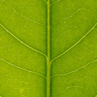 Eco-friendly car washing guide for sustainable auto care Eco-friendly car washing guide for sustainable auto care