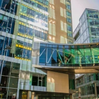 Recipe templates on screen showcasing culinary management with Google Docs. Recipe templates on screen showcasing culinary management with Google Docs.