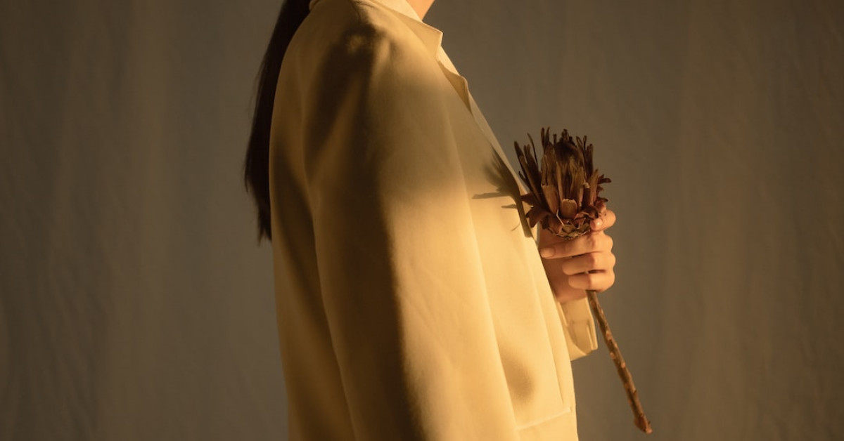 Fashion enterprise growth and financial success infographic