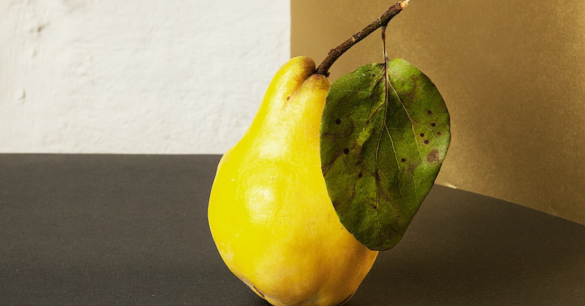 Fresh fruit bowl arrangement from Publix for home dining.