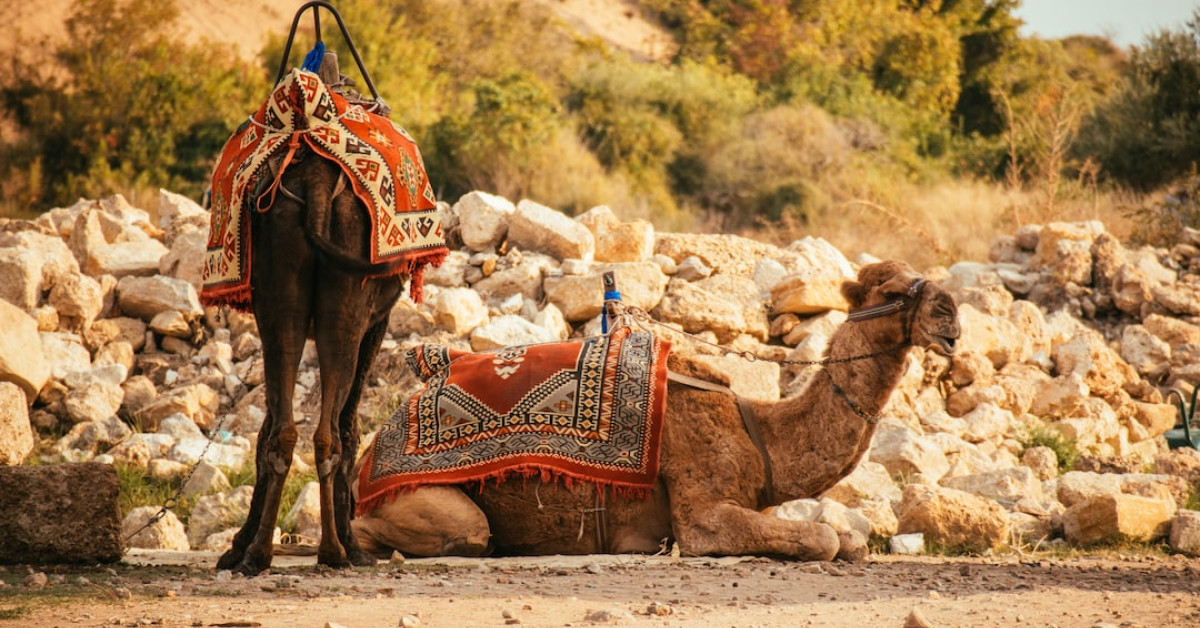Pork loin with colorful vegetable sides on plate.